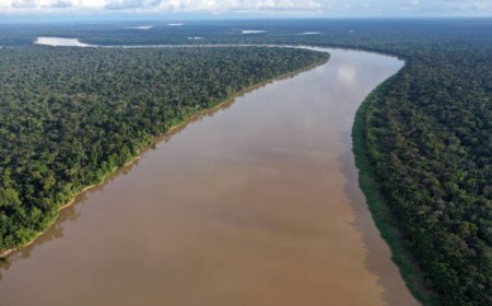 A importância da Amazônia no equilíbrio climático mundial