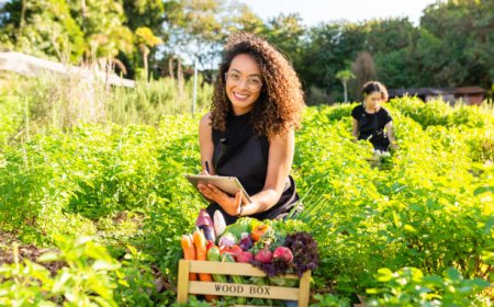 O crescimento do voluntariado e a nova geração mais engajada socialmente