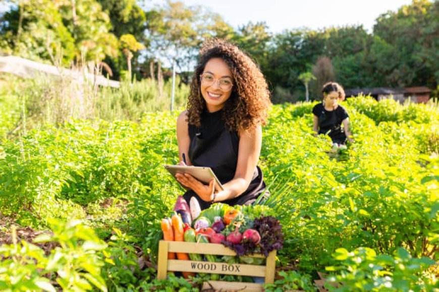 O crescimento do voluntariado e a nova geração mais engajada socialmente